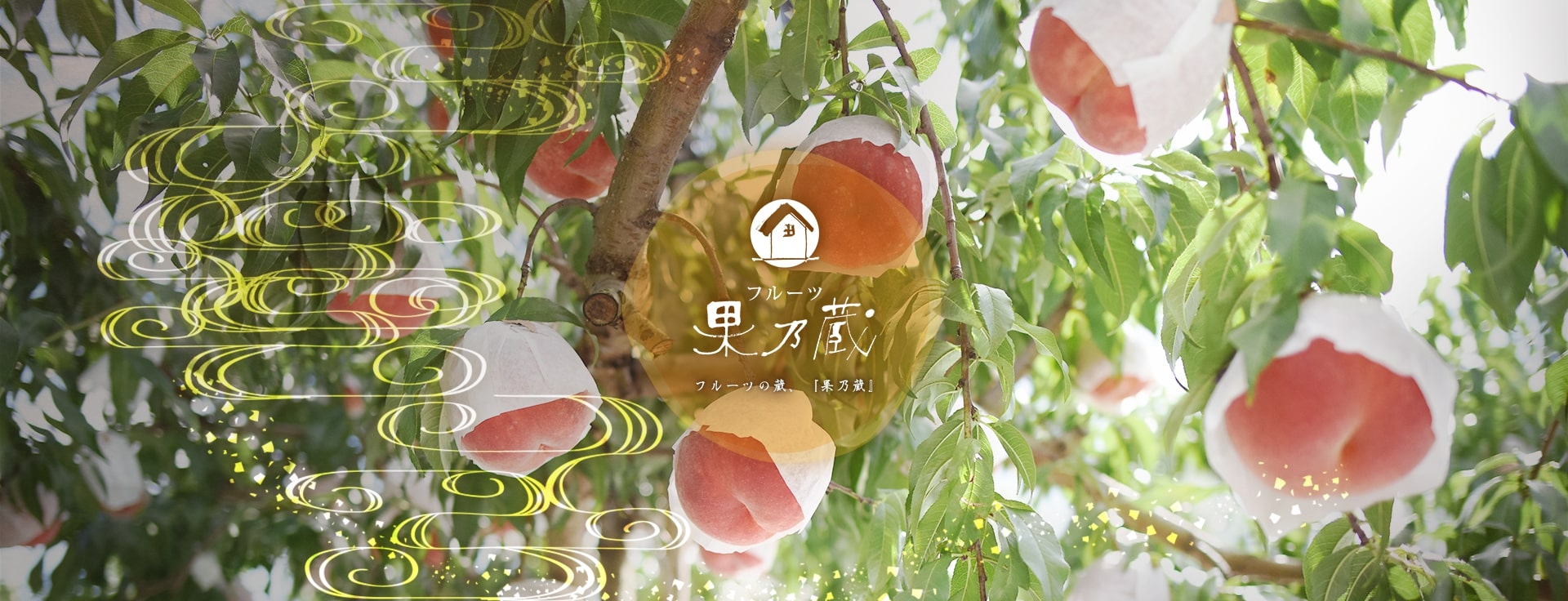 山形県天童市にある、美味しい果物を栽培・生産しているフルーツ果乃蔵の金桃の写真